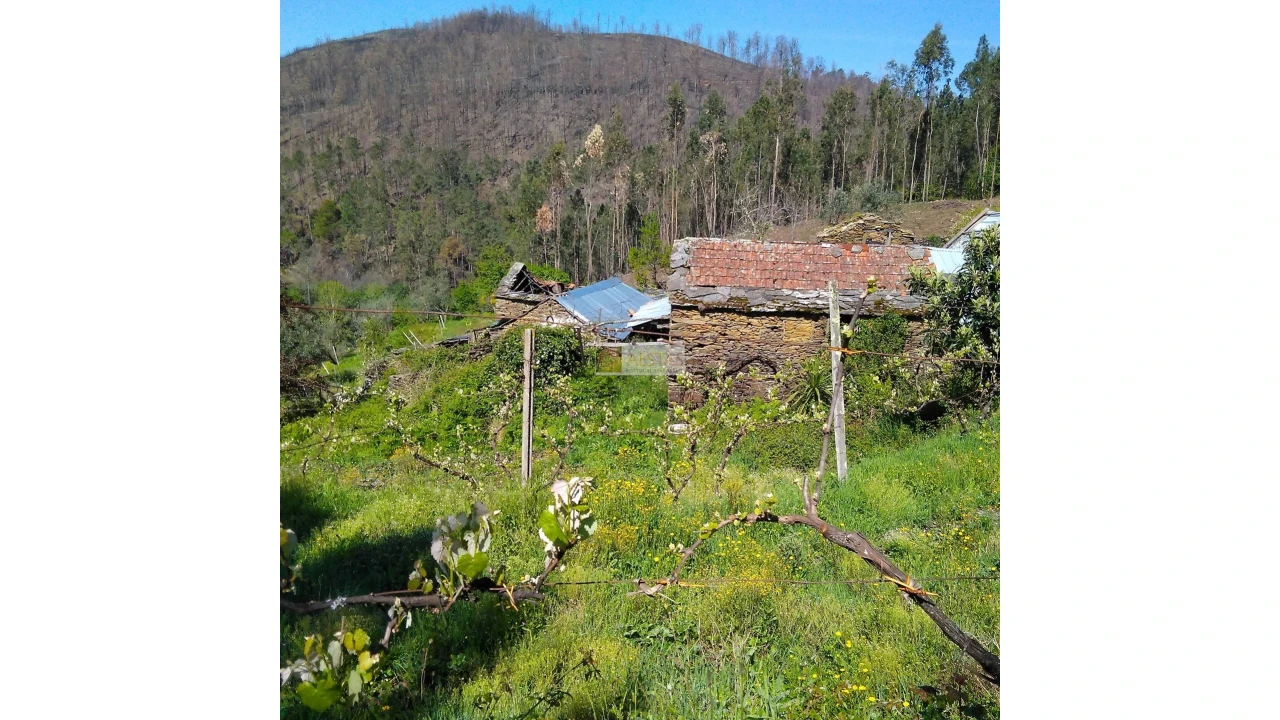 Terreno para Venda em Tropeço Foto 120