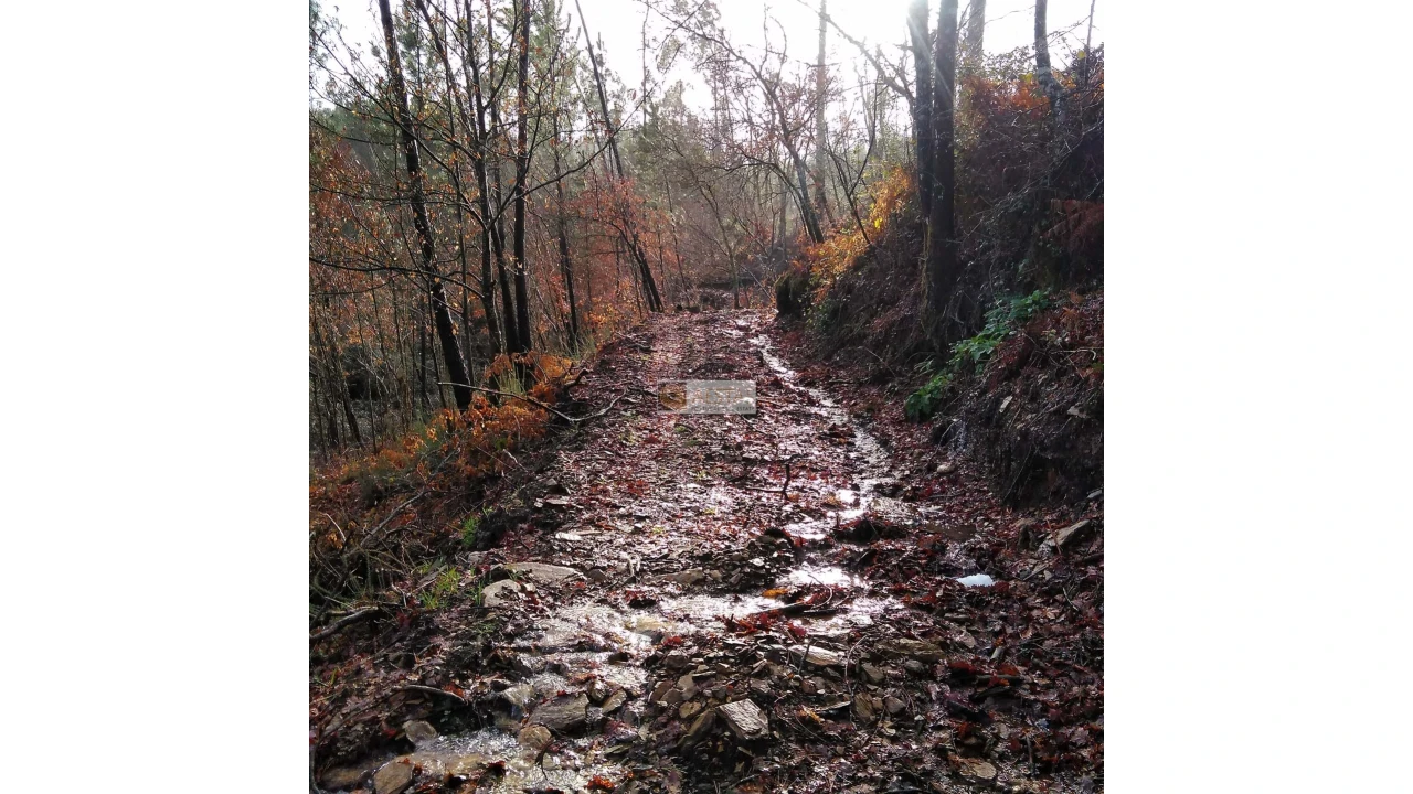 Terreno para Venda em Tropeço Foto 68