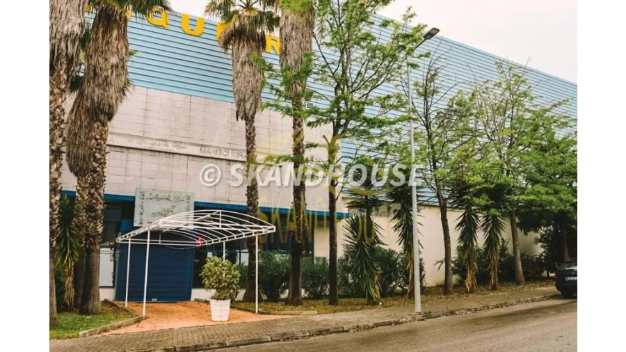 Negócio para Venda em Vialonga Foto 18