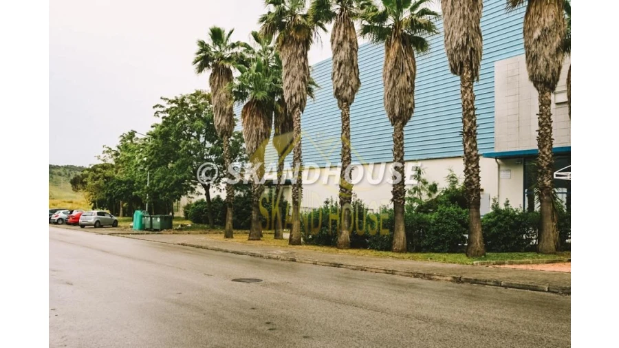 Negócio para Venda em Vialonga Foto 22