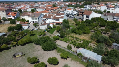 Terreno para Venda em Alcains