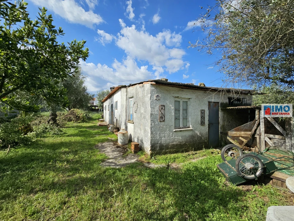 Terreno para Venda em Alcains Foto 4