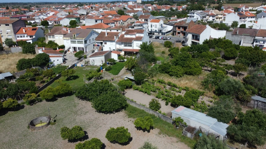 Terreno para Venda em Alcains Foto 26