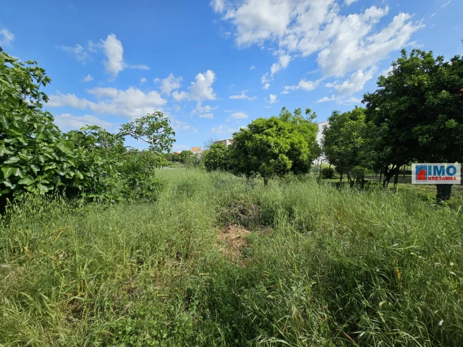 Terreno para Venda em Alcains Foto 17