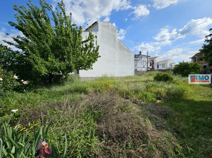 Terreno para Venda em Alcains Foto 21