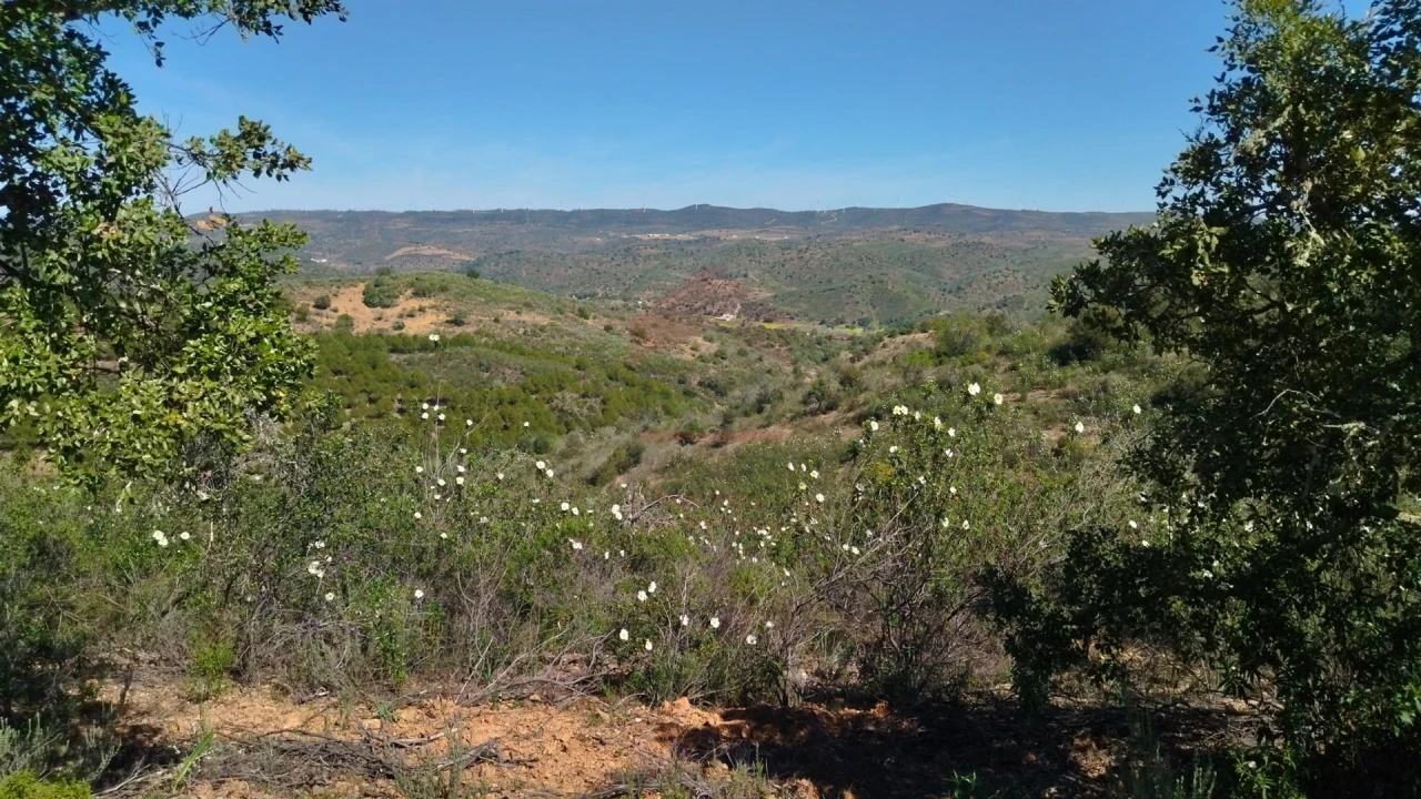 Terreno Agricola ou Rústico para Venda em Alcoutim e Pereiro Foto 2