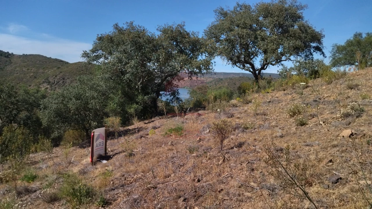 Terreno Agricola ou Rústico para Venda em Alcoutim e Pereiro Foto 3