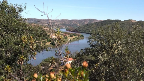 Terreno Agricola ou Rústico para Venda em Alcoutim e Pereiro
