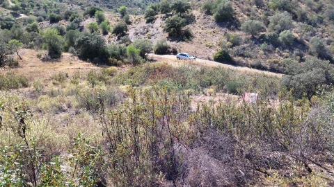 Terreno Agricola ou Rústico para Venda em Alcoutim e Pereiro