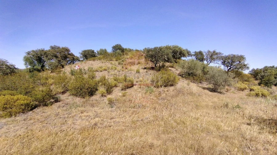 Terreno Agricola ou Rústico para Venda em Alcoutim e Pereiro Foto 5