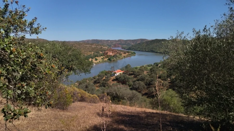 Terreno Agricola ou Rústico para Venda em Alcoutim e Pereiro Foto 8