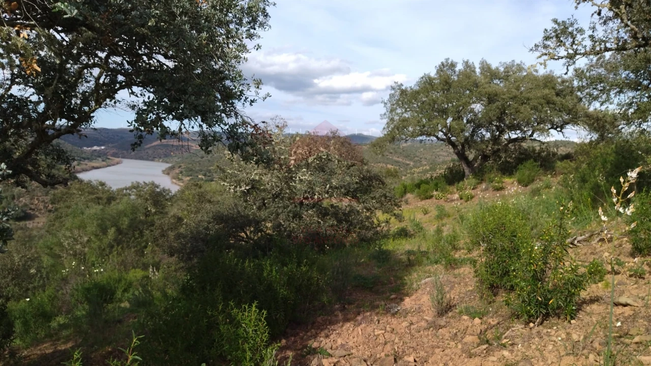 Terreno Agricola ou Rústico para Venda em Alcoutim e Pereiro Foto 7