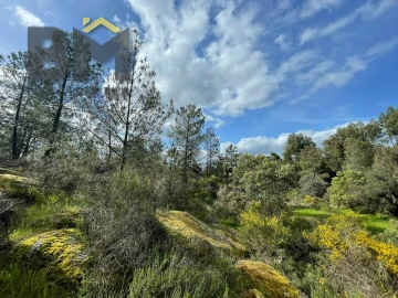 Terreno Agricola ou Rústico para Venda em Tinalhas