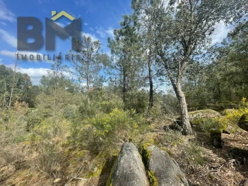 Terreno Agricola ou Rústico para Venda em Tinalhas