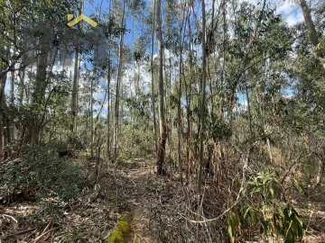 Terreno Agricola ou Rústico para Venda em Tinalhas