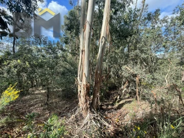 Terreno Agricola ou Rústico para Venda em Tinalhas