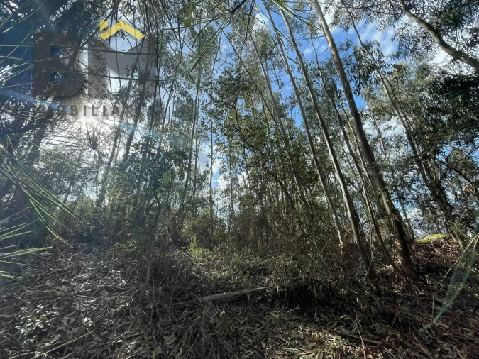 Terreno Agricola ou Rústico para Venda em Tinalhas Foto 8