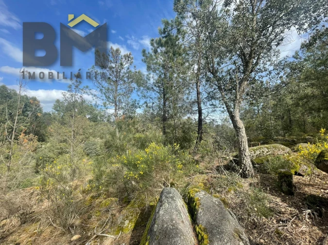 Terreno Agricola ou Rústico para Venda em Tinalhas Foto 5