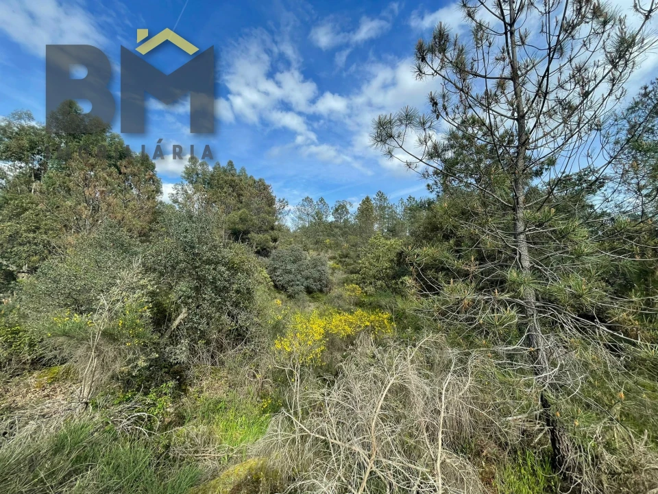 Terreno Agricola ou Rústico para Venda em Tinalhas Foto 6
