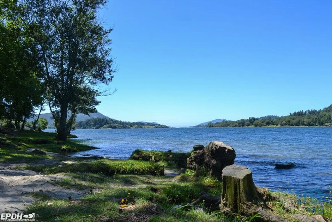 Terreno para Venda em Reboreda e Nogueira Foto 7