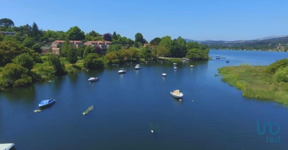 Terreno para Venda em Reboreda e Nogueira Foto 13