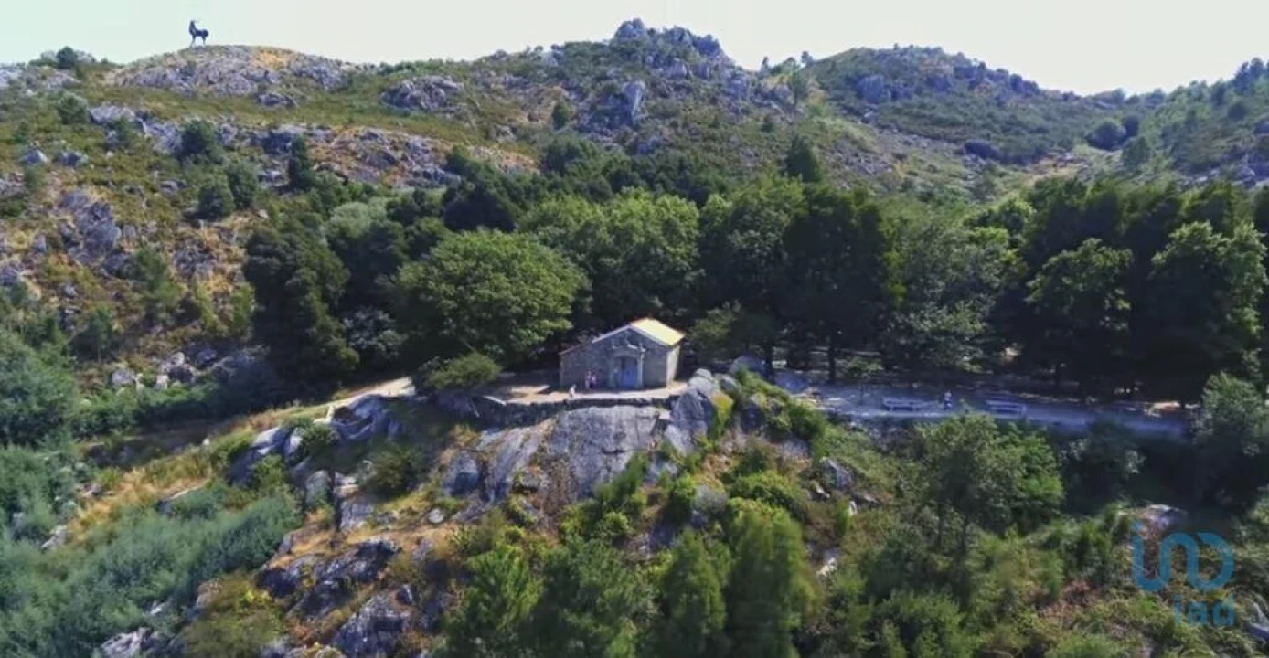 Terreno para Venda em Reboreda e Nogueira Foto 5