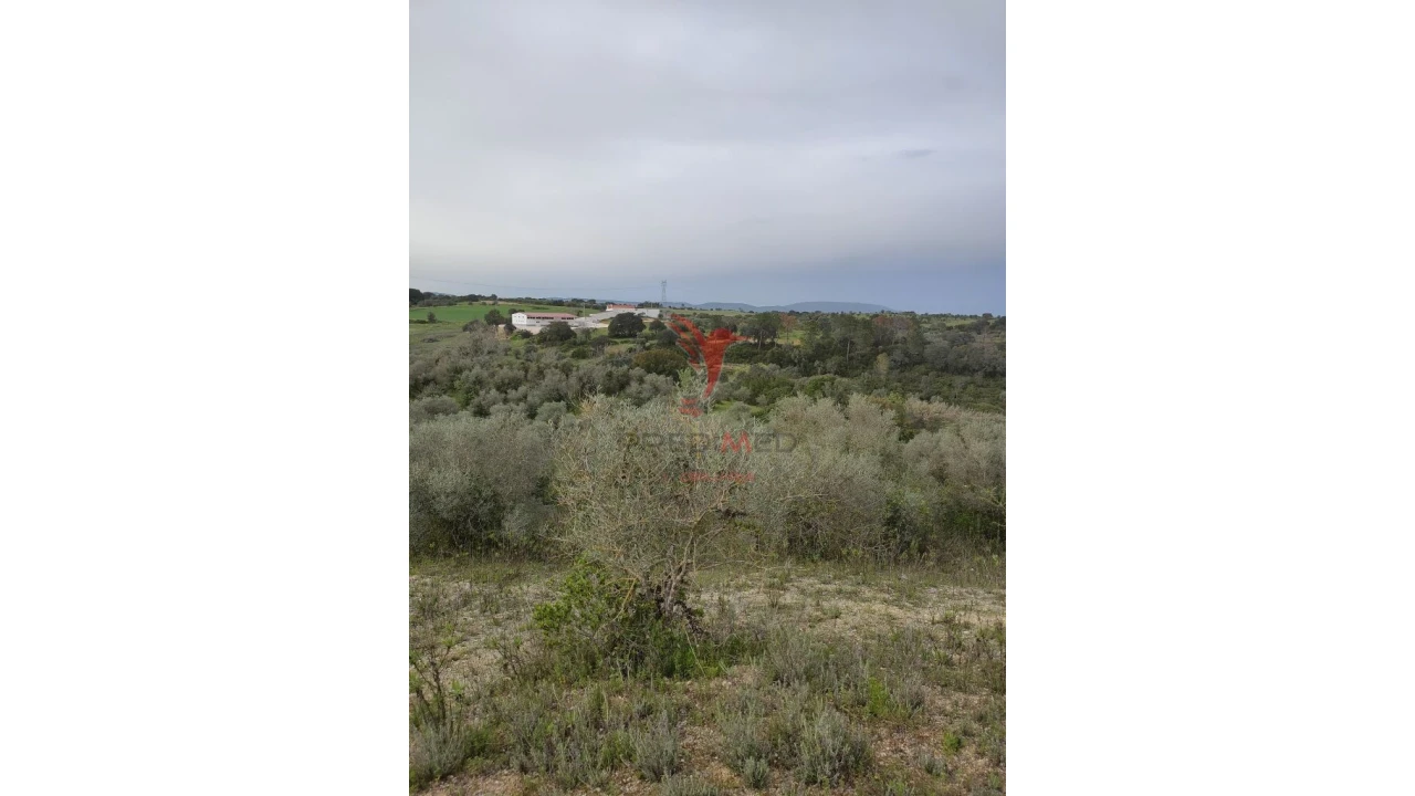 Terreno para Venda em Achete, Azoia de Baixo e Póvoa de Santarém Foto 3