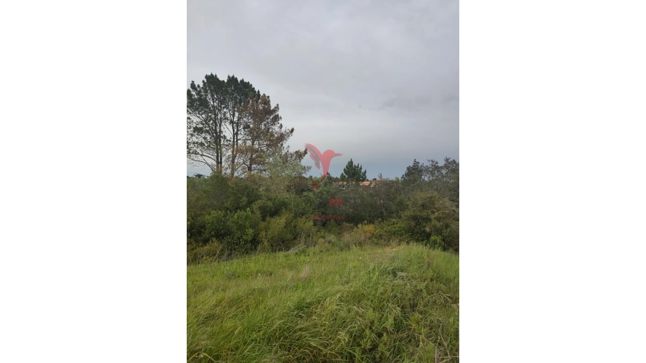 Terreno para Venda em Achete, Azoia de Baixo e Póvoa de Santarém Foto 7