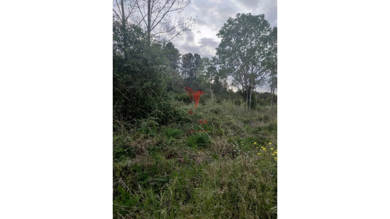 Terreno para Venda em Achete, Azoia de Baixo e Póvoa de Santarém Foto 12