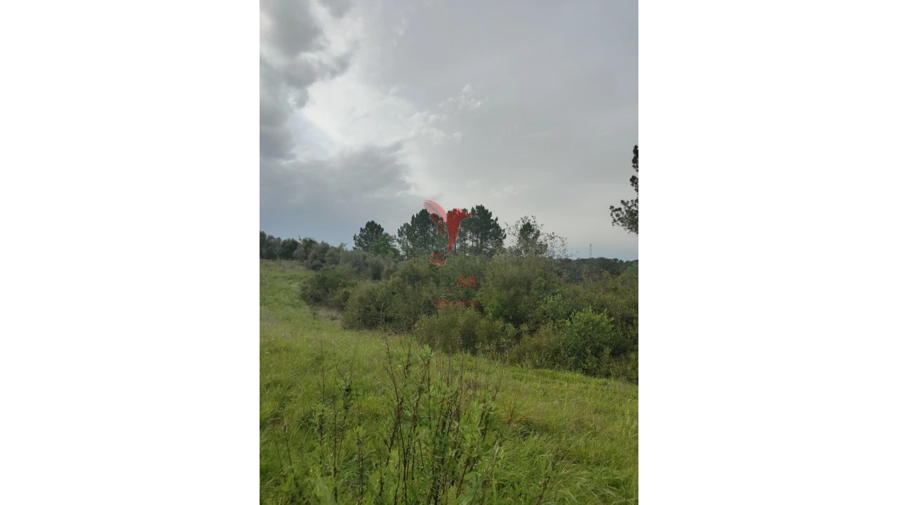 Terreno para Venda em Achete, Azoia de Baixo e Póvoa de Santarém Foto 6