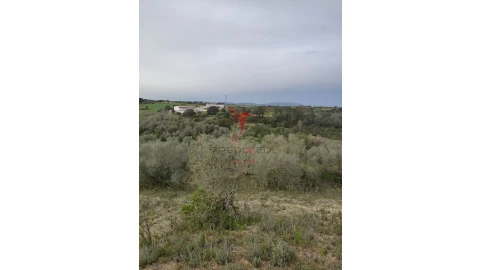 Terreno para Venda em Achete, Azoia de Baixo e Póvoa de Santarém