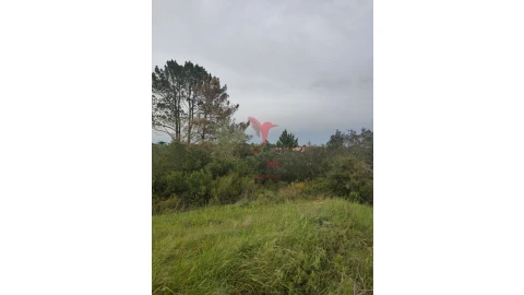 Terreno para Venda em Achete, Azoia de Baixo e Póvoa de Santarém