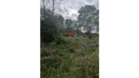 Terreno para Venda em Achete, Azoia de Baixo e Póvoa de Santarém