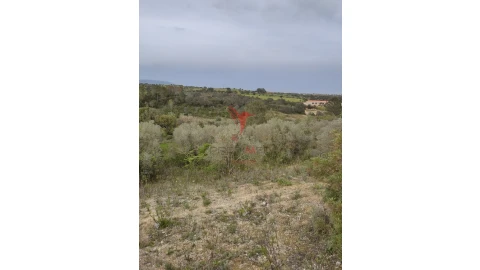 Terreno para Venda em Achete, Azoia de Baixo e Póvoa de Santarém
