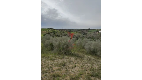 Terreno para Venda em Achete, Azoia de Baixo e Póvoa de Santarém
