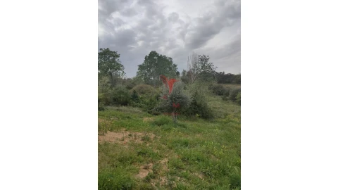 Terreno para Venda em Achete, Azoia de Baixo e Póvoa de Santarém