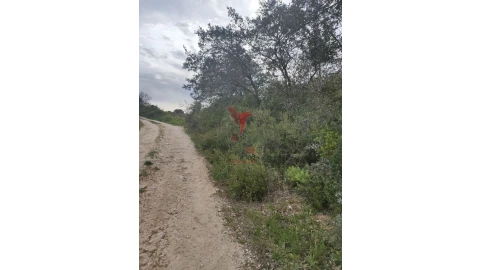 Terreno para Venda em Achete, Azoia de Baixo e Póvoa de Santarém