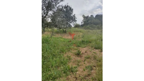 Terreno para Venda em Achete, Azoia de Baixo e Póvoa de Santarém