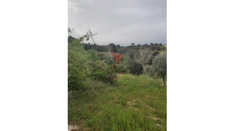 Terreno para Venda em Achete, Azoia de Baixo e Póvoa de Santarém