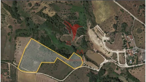 Terreno para Venda em Achete, Azoia de Baixo e Póvoa de Santarém