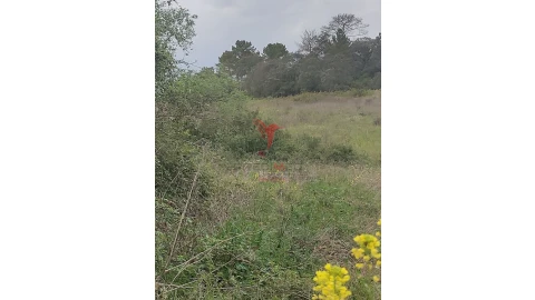 Terreno para Venda em Achete, Azoia de Baixo e Póvoa de Santarém