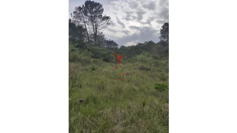 Terreno para Venda em Achete, Azoia de Baixo e Póvoa de Santarém