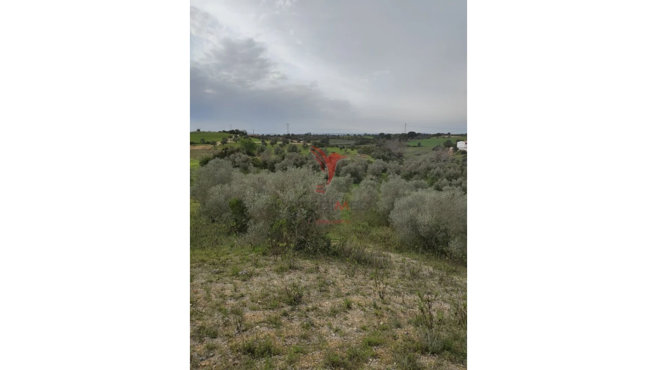 Terreno para Venda em Achete, Azoia de Baixo e Póvoa de Santarém Foto 2