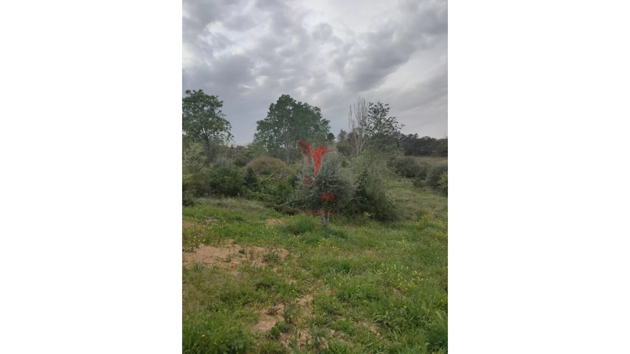 Terreno para Venda em Achete, Azoia de Baixo e Póvoa de Santarém Foto 13