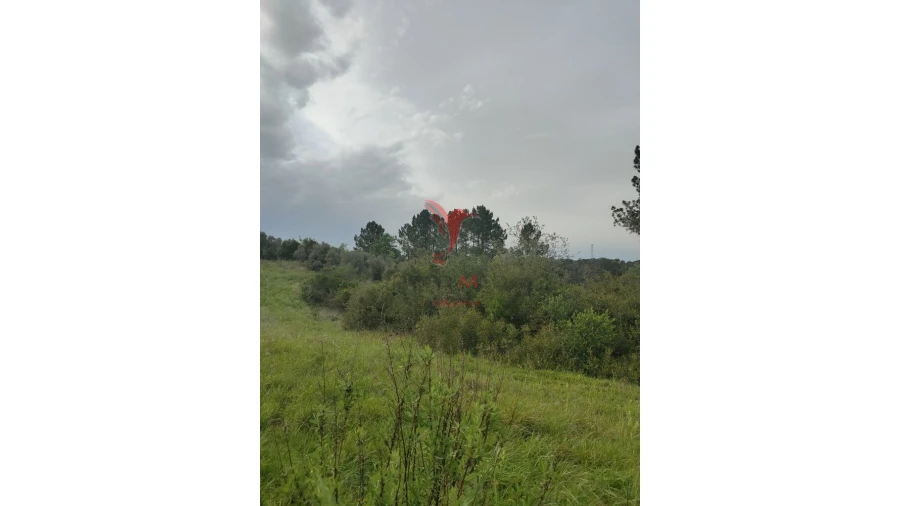 Terreno para Venda em Achete, Azoia de Baixo e Póvoa de Santarém Foto 6