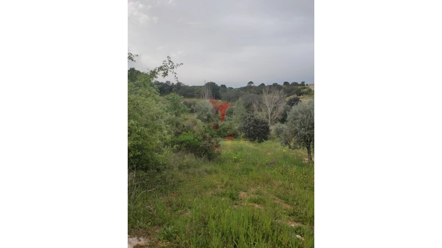 Terreno para Venda em Achete, Azoia de Baixo e Póvoa de Santarém Foto 8