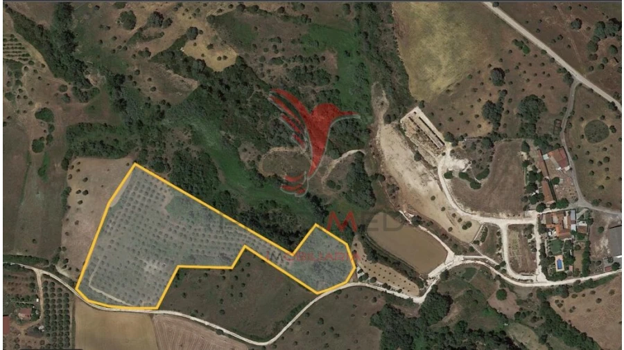 Terreno para Venda em Achete, Azoia de Baixo e Póvoa de Santarém Foto 14