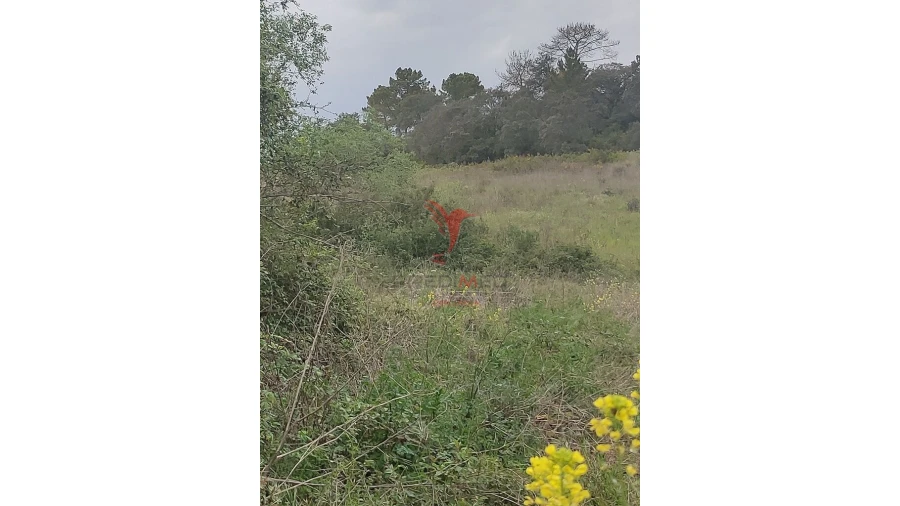 Terreno para Venda em Achete, Azoia de Baixo e Póvoa de Santarém Foto 11