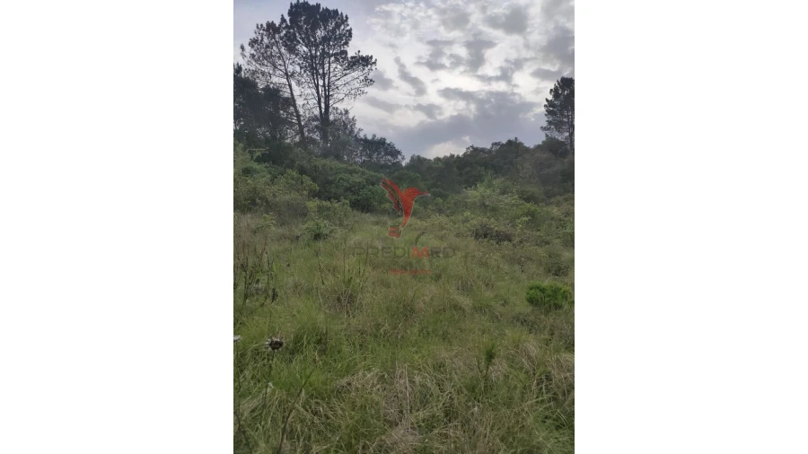 Terreno para Venda em Achete, Azoia de Baixo e Póvoa de Santarém Foto 9