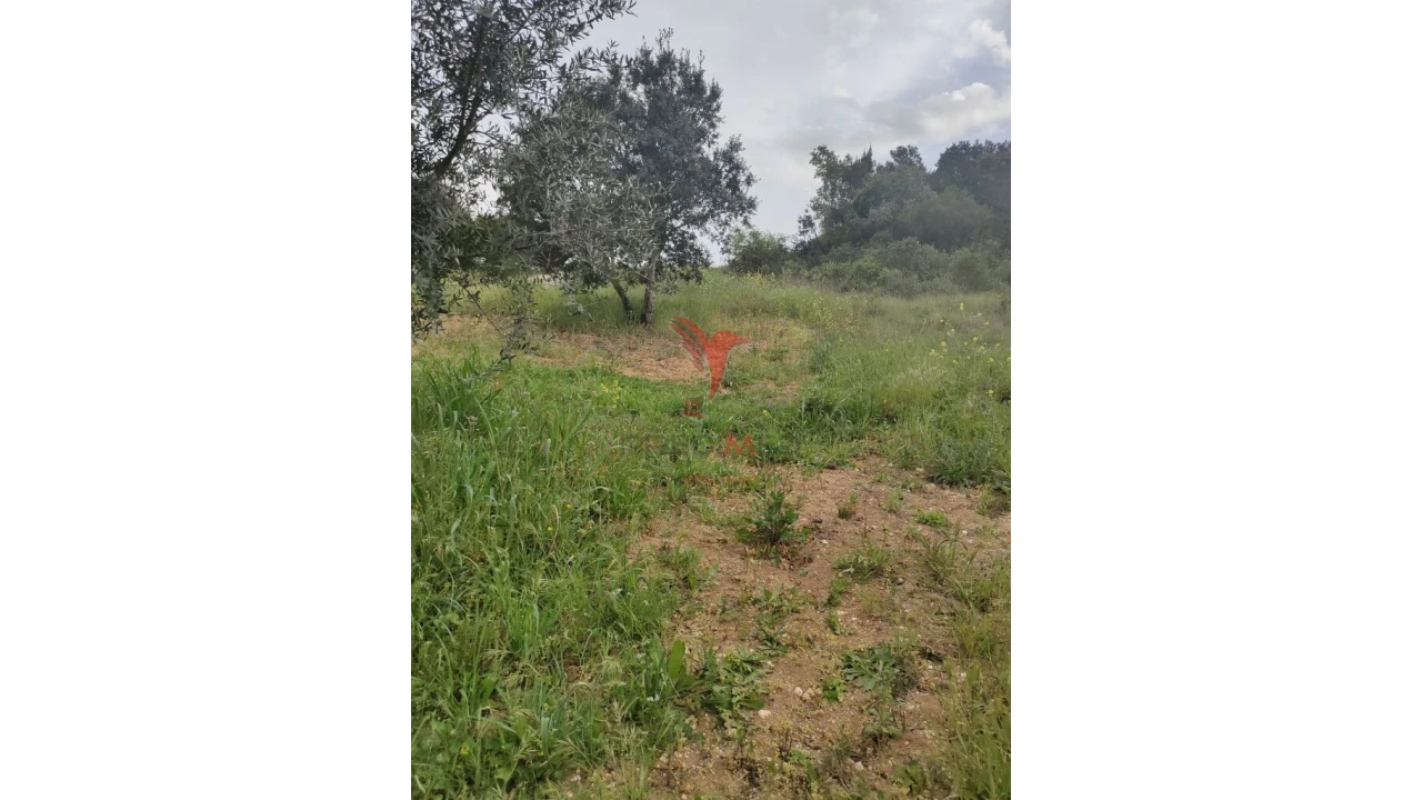 Terreno para Venda em Achete, Azoia de Baixo e Póvoa de Santarém Foto 10